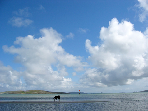 Abee on the runway at Barra Airport