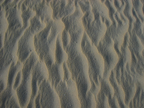 Patterns in the sand