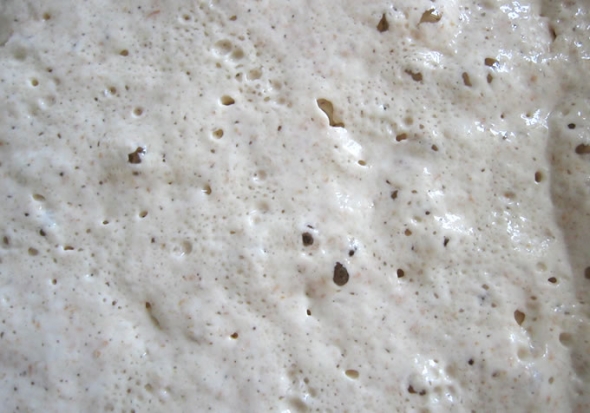 sourdoughstarter