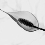 127470791_fe4fde6cd1