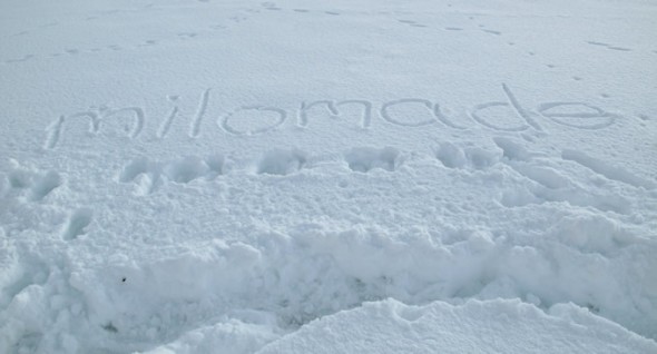 Milomade in the Snow