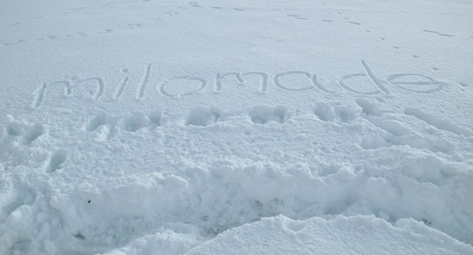 Milomade in the Snow Milomade in the Snow