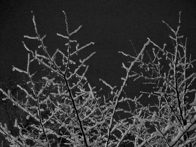 November Snow November Snow