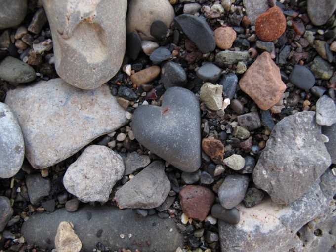 My Love Heart My Love Heart