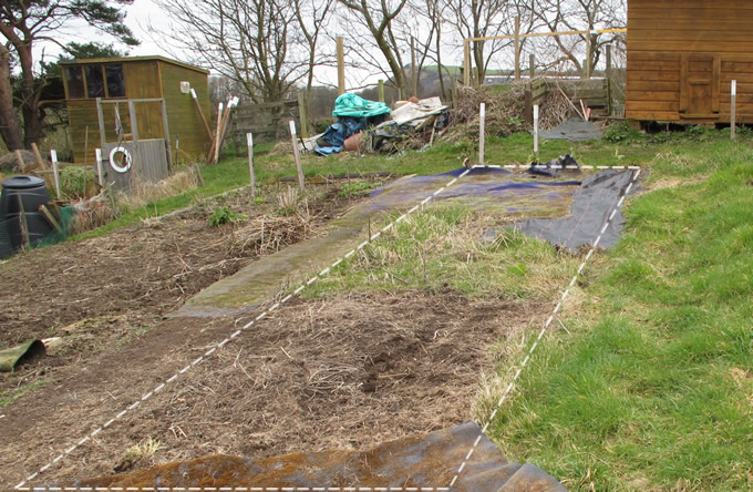 Top part of our allotment