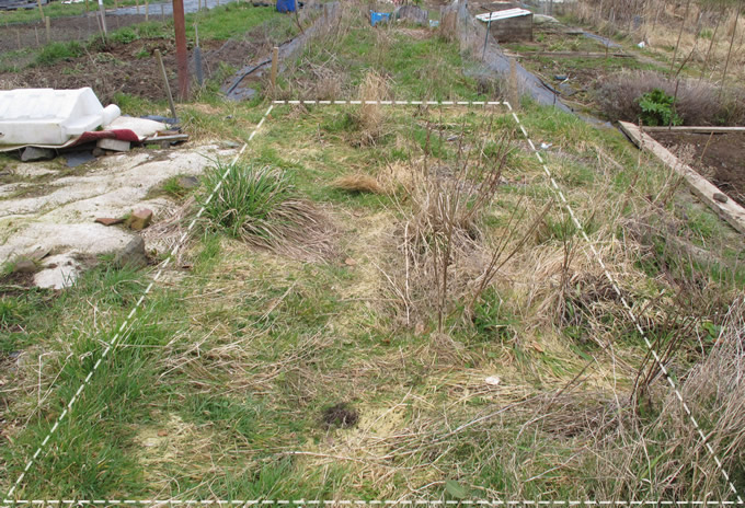 Bottom part of the allotment