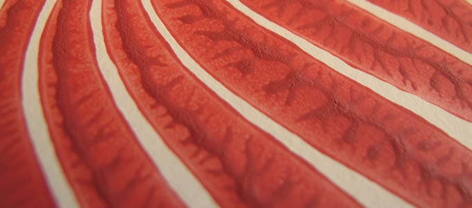 Wallpaper Close up showing texture