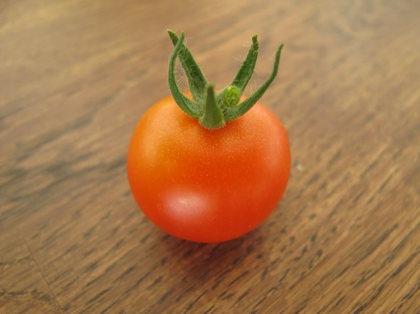 My first tomato of the year