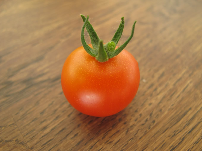 My first tomato of the year My first tomato of the year
