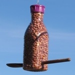 DIY Eco Friendly Bird Feeder