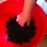 Picking blackberries ergonomically