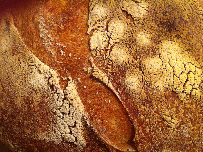 Inspiration – Crust Patterns