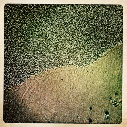 Inspiration - Shifting Sands
