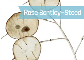 Round The Horn 2015 - Rose Bentley-Steed