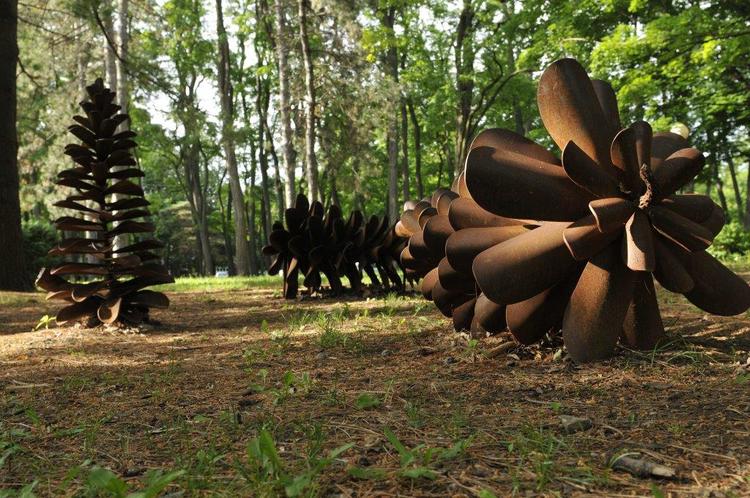 Floyd Elzinga - Pine Cone Colony
