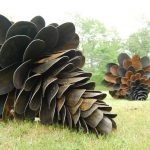 Pine Cone Colony