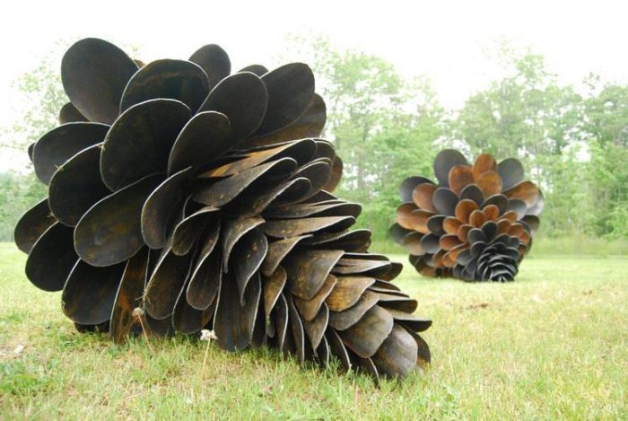 Floyd Elzinga - Pine Cone Colony